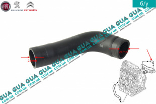 Патрубок вентиляции картерных газов верхний ( шланг, трубка cапуна )   