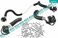 Патрубок / трубка топливной системы ( шланг от насоса низкого давления к клапану отсечки )