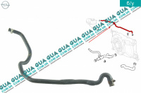 Патрубок / шланг системы охлаждения ( трубка расширительного бачка )