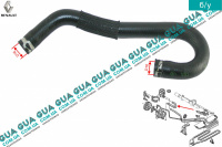 Шланг / патрубок гидроусилителя ( ГУРа ) ( трубка от насоса к бачку)