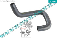 Патрубок масляного радиатора / трубка системы охлаждения ( шланг теплообменника )