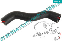 Патрубок масляного радиатора / трубка системы охлаждения ( шланг теплообменника )