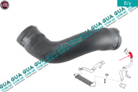 Патрубок интеркулера ( от радиатора к коллектору )