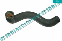 Патрубок / шланг системы охлаждения (патрубок радиатора ) (трубка)