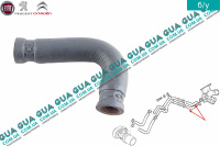 Патрубок / трубка системы охлаждения ( от теплообменника к термостату)