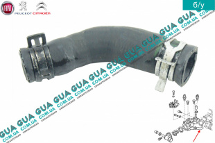 Патрубок / трубка системы охлаждения ( к термостату )   