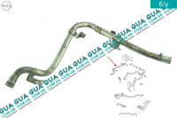 Патрубок / трубка системы охлаждения ( к водяному насосу )