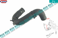 Патрубок масляного радиатора / трубка системы охлаждения ( шланг теплообменника )