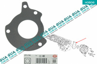 Прокладка топливного насоса ТНВД Ford / ФОРД C-MAX II / С-МАКС 2 2.0TDCI (1997 куб.см.)