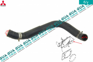 Патрубок радиатора нижний / шланг системы охлаждения ( трубка )   