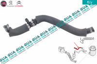 Патрубок вентиляции картерных газов (шланг, трубка сапуна )