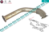 Трубка ЕГР / EGR ( Трубка картерных газов )