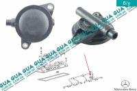  Сепаратор масла  ( Сапун / Клапан картерных газов )