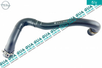 Шланг / патрубок вентиляции картерных газов двигателя 