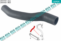 Патрубок интеркулера правый Ford / ФОРД C-MAX II / С-МАКС 2 1.6TDCI (1560куб.см.)