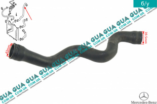  Патрубок радиатора / шланг системы охлаждения ( нижний )   