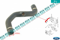 Патрубок радиатора / шланг системы охлаждения ( верхний )