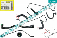 Патрубки / трубки топливной системы