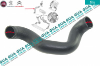 Патрубок интеркулера ( радиатор - дроcсельная заслонка )