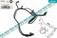 Патрубки / трубки топливной системы с ручной подкачкой ( трубка топлива от фильтра к ТНВД )