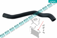 Патрубок радиатора верхний ( -AC)