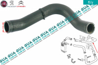 Патрубок интеркулера ( от радиатора к коллектору )