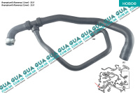 Патрубок радиатора нижний