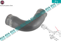 Патрубок / шланг системы охлаждения ( трубка от корпуса термостата )