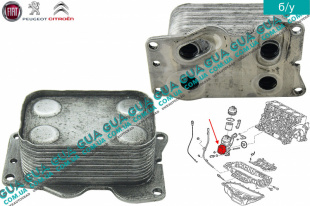 Масляный радиатор ( масляный охладитель / теплообменник ) Volvo / ВОЛЬВО S40 II 2.0D (1998 куб. см.)