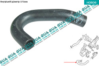 Патрубок / трубка системы охлаждения ( от теплообменника к охладителю ЕГР )
