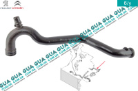 Патрубок / трубка системы охлаждения ( к термостату )