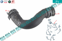 Патрубок / трубка системы охлаждения ( от теплообменника к охладителю ЕГР ) Seat / СЕАТ LEON 2005- 1.6TDI (1598 куб.см.)