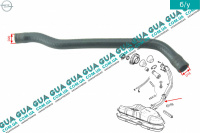 Патрубок / трубка топливной системы ( вентиляции топливного бака )
