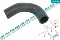 Патрубок интеркулера верхний правый