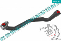 Патрубок вентиляции картерных газов / сапун ( шланг, трубка )