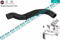 Патрубок / трубка интеркулера ( радиатор - дроcсельная заслонка )