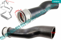 Патрубок интеркулера верхний правый