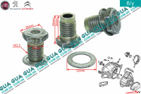 Маслосливная пробка поддона КПП ( 1шт. )