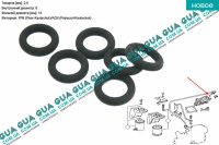 Уплотняющее кольцо топливной трубки ( сальник / прокладка ) 13х8х2,5 1шт