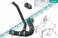 Патрубок радиатора / шланг системы охлаждения  нижний  ( трубка )