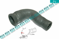 Патрубок / шланг системы охлаждения  (трубка)