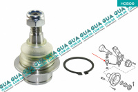 Шаровая опора нижняя Ford / ФОРД TRANSIT 2006- / ТРАНЗИТ 06- 2.2TDCI (2198 куб.см.)