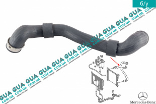 Патрубок / шланг системы охлаждения радиатора ( верхний )   