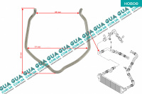 Стопор / фиксатор патрубка интеркулера ( удерживающая пружина / скоба ) 1ШТ