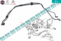 Патрубок / трубка топливной системы