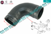 Патрубок интеркулера ( от радиатора к коллектору )