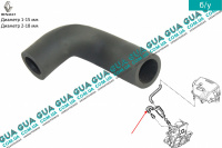Патрубок вентиляции картерных газов ( трубка / шланг сапуна )