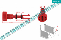 Сливная / дренажна  пробка радиатора ( корок / крышка )