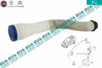 Горловина бачка стеклоомывателя ( стеклоочистителя лобового окна )