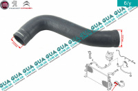 Патрубок / шланг системы охлаждения ( трубка радиатора нижняя )